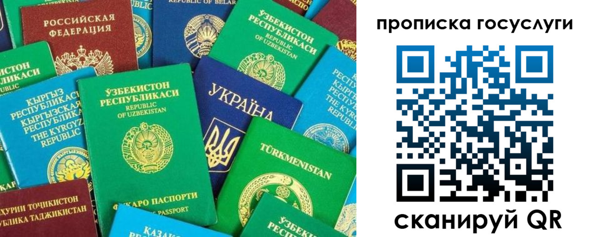 временная регистрация для всех в Приморско-Ахтарске